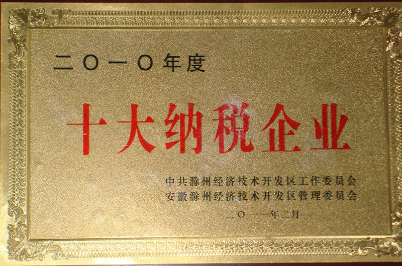 十大納稅(shuì)企業