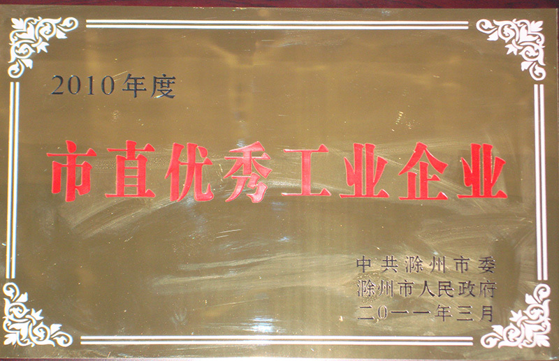 市直(zhi)優秀工業(yè)企業